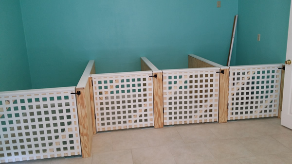 animal-shelter-gates
